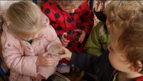 Natural Tree House And Tunnel - Tuff Tray Cover, No Frame